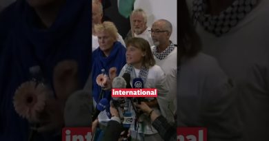 Greta Thunberg arrive en Grèce après son expulsion d'Israël