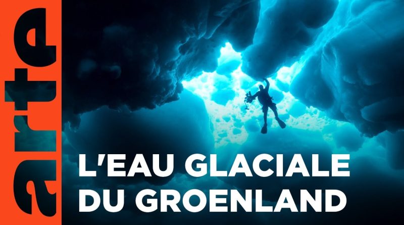 Groenland : Aventure au cœur de la nature sauvage | ARTE Family