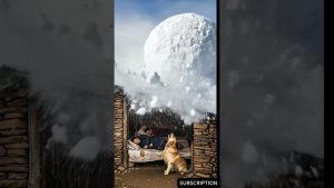 Grottes de falaise en Chine : Qui osera cette liberté cachée ?