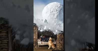 Grottes de falaise en Chine : Qui osera cette liberté cachée ?