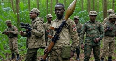 Guerre du M23 : Dernières nouvelles du 8 novembre 2025