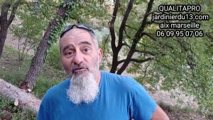 Guide pratique pour prévenir les feux de forêt