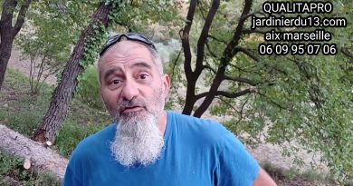 Guide pratique pour prévenir les feux de forêt