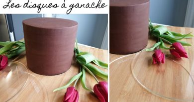 Guide pratique pour utiliser les disques à ganache