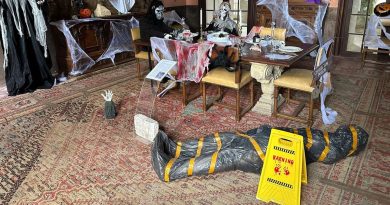 Halloween au château du Bouchet - ici