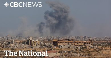 Hamas accepte de libérer des otages israéliens dans le plan Trump