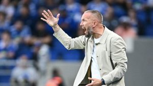 illustration agrandir l