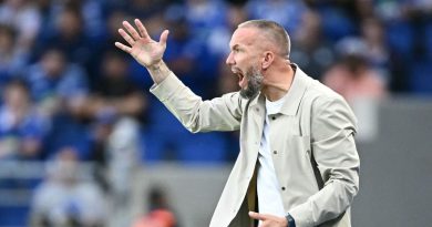 illustration agrandir l