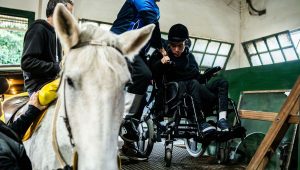 Hel'Hand à Missy : Spectacle équestre inclusif - ICI