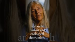 Helena Norberg-Hodge : les coûts cachés du système mondial