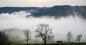 Hello Ketty. Les images décalées de la semaine dans l'objectif de notre photographe