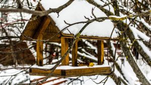 Hivernage des animaux du jardin - ici