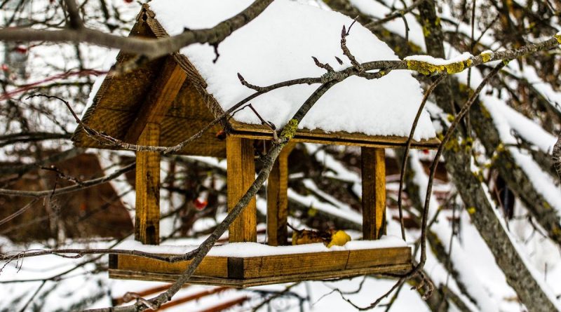 Hivernage des animaux du jardin - ici