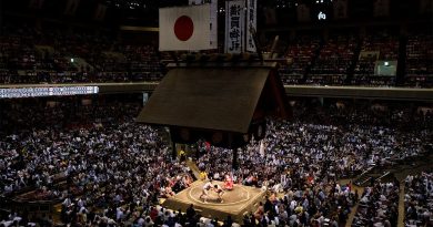 Honbasho, les six grands tournois de sumo