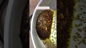 Huile de massage maison pour bébé : rhume et toux