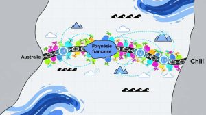 Humboldt : la Polynésie relie ses îles au monde avec le câble du futur