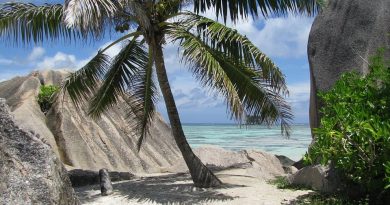 Guadeloupe, Basse-Terre, Pointe-à-Pitre, volcano, beach, palm, waterfall, Creole, island