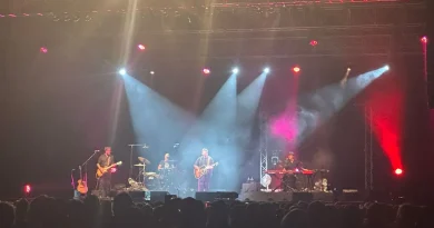 IMAGES. Patrick Bruel enflamme To'ata devant plus de 4 000 spectateurs