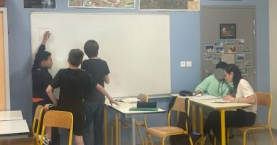 La 6e inclusive : un tremplin vers la réussite scolaire - Les Cahiers pédagogiques