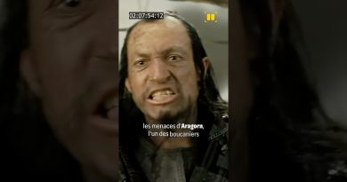 Identifiez ce pirate dans LE SEIGNEUR DES ANNEAUX ! #LOTR