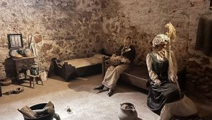 illustration agrandir l