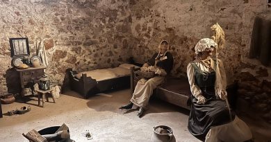 illustration agrandir l