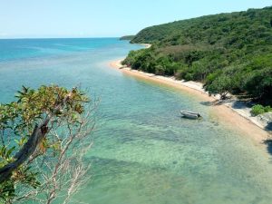 Îlot Sainte-Marie : dix kilomètres de sentier à deux pas de Nouméa pour découvrir ce bel espace naturel