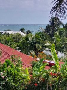 « Ils lui ont mis des gifles ! » : au Vauclin, la musique sème la zizanie