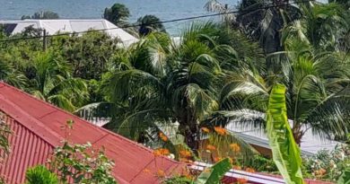 « Ils lui ont mis des gifles ! » : au Vauclin, la musique sème la zizanie