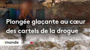 Immersion glaciale dans l'univers des cartels de drogue