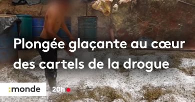 Immersion glaciale dans l'univers des cartels de drogue