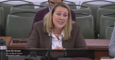 Immigration, économie et cohésion sociale : un débat crucial