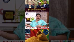 Impact de la guerre commerciale sur la culture du soja