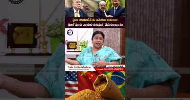 Impact de la guerre commerciale sur la culture du soja