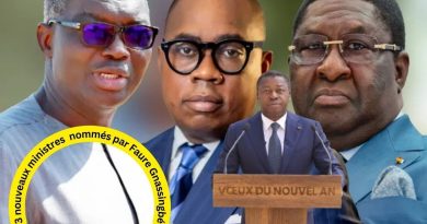 Impact des 3 nouveaux ministres au Togo : Quelles conséquences ?