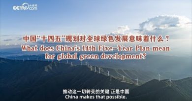 Impact du 14e Plan quinquennal chinois sur le développement vert