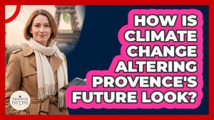 Impact du changement climatique sur l'avenir de la Provence