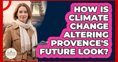 Impact du changement climatique sur l'avenir de la Provence