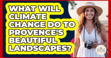 Impact du changement climatique sur les paysages de Provence