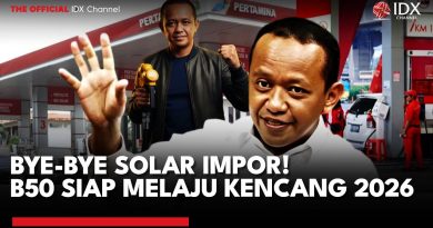 Impor Solar Arrêté, B50 Prêt à Accélérer en 2026 | ANALYSE