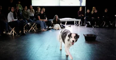 «In bocca al Lupo», de Judith Zagury : loup y es-tu