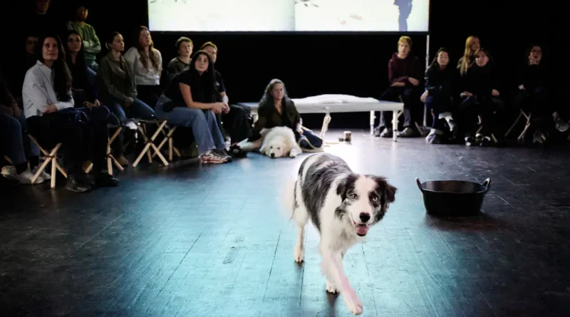 «In bocca al Lupo», de Judith Zagury : loup y es-tu