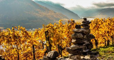 Occitanie, Toulouse, Montpellier, landscape, sea, mountain, vineyard, canal