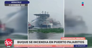 Incendie à bord du Blue Phoenix : intervention à Veracruz