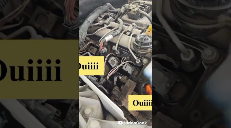 Incendie : les dernières nouvelles et enjeux