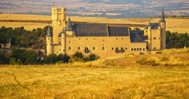 Pays de la Loire, Nantes, Angers, Loire river, castle, vineyard, coast, landscape