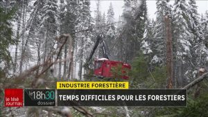 Industrie forestière : l'usine Arbec à Amos annonce l’arrêt de ses activités