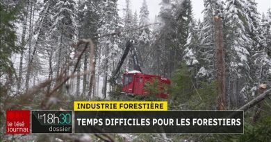 Industrie forestière : l'usine Arbec à Amos annonce l’arrêt de ses activités