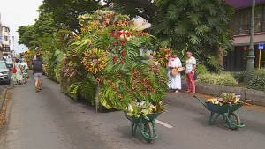 Inédit en Polynésie, le retour de l'abondance transforme le front de mer en immense scène culturelle