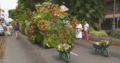 Inédit en Polynésie, le retour de l'abondance transforme le front de mer en immense scène culturelle